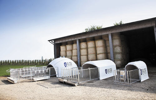 Livestock hutch - Box&Igloo - EUROSILOS SIRP s.r.l. - calf / for piglets / individual