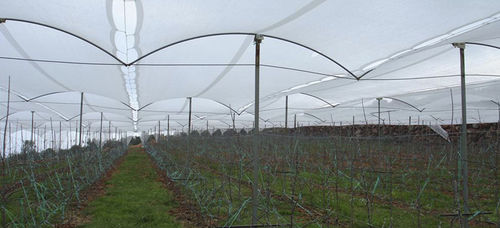 Hail netting - FILESAN Net and Sack Industry - polyethylene