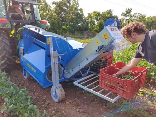 Green beans harvester machine - RF3 - Fontana S.r.l. - attrezzature agricole - chili peper / tractor-mounted / 1-row