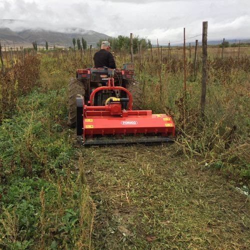 Mounted mulcher - FT8 series - FORIGO ROTER ITALIA - knife / hammer / 12 hammers