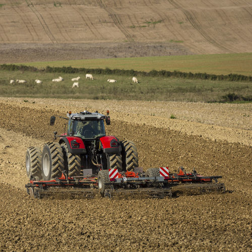 Mounted disc harrow - Normandie+ T series - GREGOIRE BESSON - 2-section / with roller / 3-point hitch