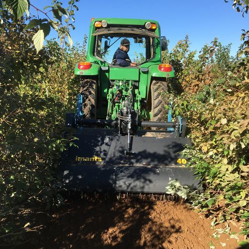 PTO-driven spading machine - 40 series - IMANTS B.V. - for vineyards / tractor-mounted / rigid