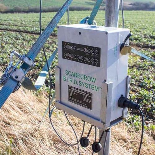 Acoustic scarer BIRDSYSTEM Martin Lishman Ltd. for birds / electronic