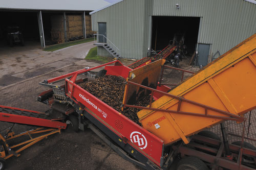 Potato receiving hopper - MH 20X - Dewulf Group - unloading