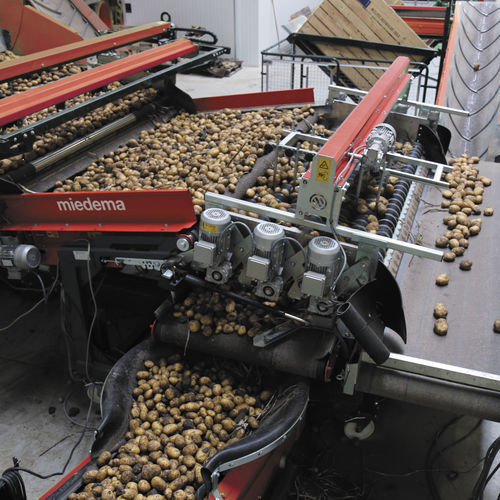 Potato grader - Dewulf Group - carrot / onion / parsnip