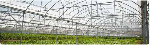 Greenhouse sheeting - Agroclima® series - POLIVOUGA Indústria de Plásticos, S.A. - anti-drip