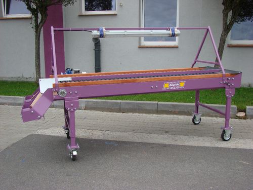 Potato sorter - R 200/85, R 250/85 - Remprodex Sp. z o.o. - onion / visual inspection