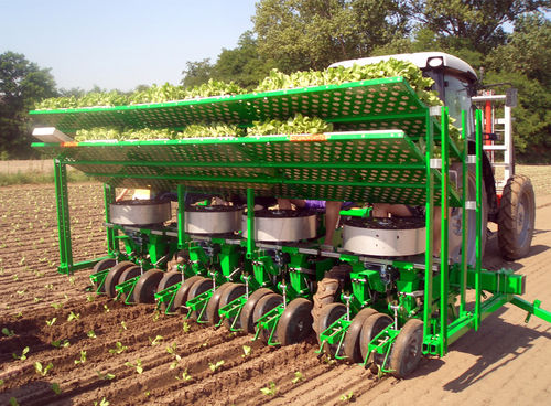 Salad transplanter - F10 - C10 - SFOGGIA Agriculture Division S.r.l. - tomato / tobacco / manual