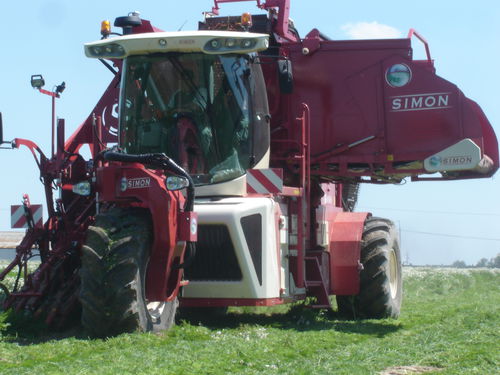 Carrot harvester machine - B - SIMON - beet / self-propelled / 2-row
