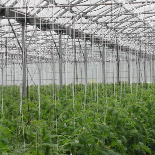 Greenhouse film ASTER SUPRA SOTRAFA, S.A. polyethylene / UV