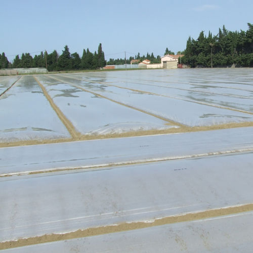 Soil disinfection sheeting - ECO PLUS - SOTRAFA, S.A. - UV-resistant / chemical-resistant