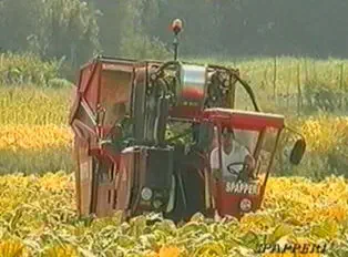 Tobacco harvester machine - RA341 - SPAPPERI