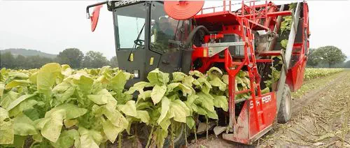 spapperi tobacco harvester price Tobacco harvester machine - RA632E - SPAPPERI
