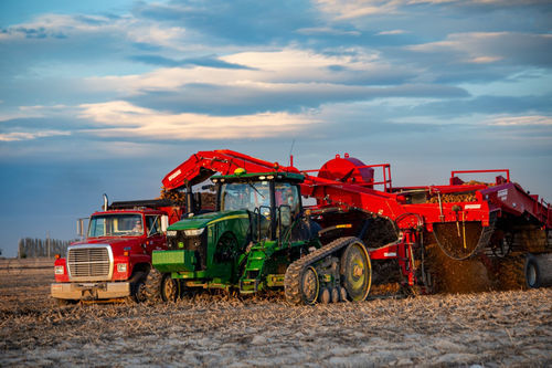 4-row harvester machine - 6640 - Spudnik Equipment Company