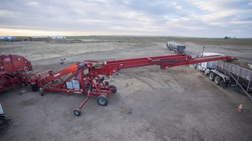 Potato conveyor - 780  - Spudnik Equipment Company LLC - belt / chain / mobile