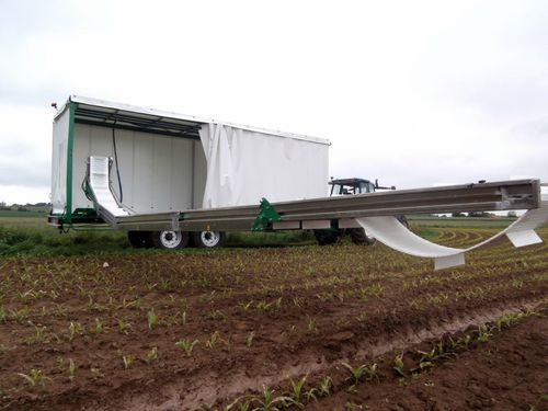 Broccoli harvesting belt - DELECROIX  - Sweere Agricultural Equipment - cabbage / cauliflower / melon