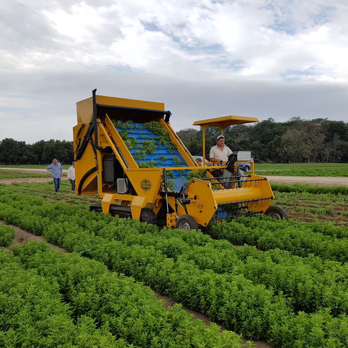 Herb harvester machine Sweere Agricultural Equipment selfpropelled