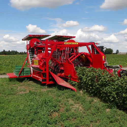 berry harvester machine - Weremczuk FMR Sp. z o.o.