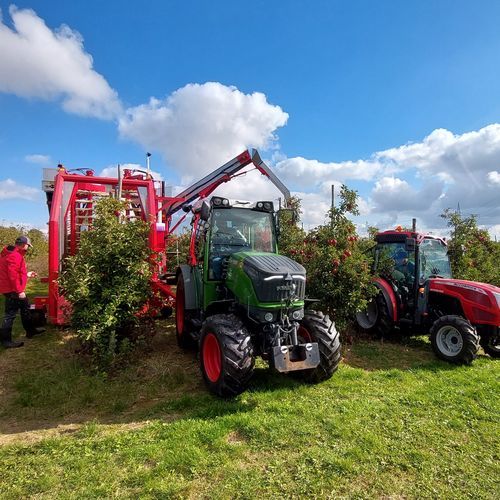 plum harvester machine - Weremczuk FMR Sp. z o.o.