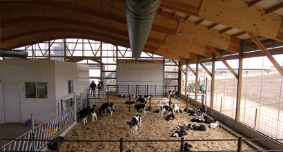 Farm building ventilation duct - Abbi-Aerotech B.V. - plastic
