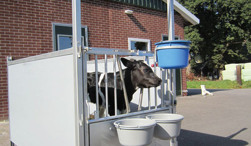Livestock hutch - Beerepoot GmbH - calf / individual / plastic