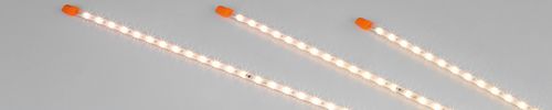 Pig barn light - FlexLED HO - Big Dutchman - LED / waterproof / programmable