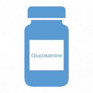 Animal feed supplement - Glucosamine - BIOIBERICA, S.A. - for pets / glycosaminoglycan / dry