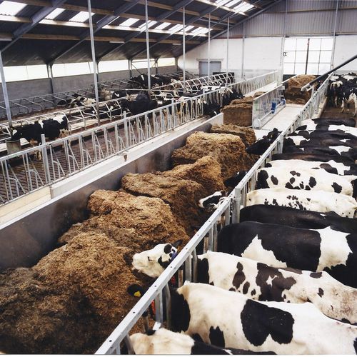 Cow feeder panel - Agricom - standard