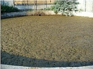 Organic amendment - Comfort Solutions - soil fertility / for turf / manure