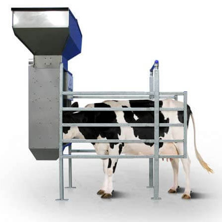 Cattle feed station - OPTIFEEDER  - Dairymaster - in milking parlor