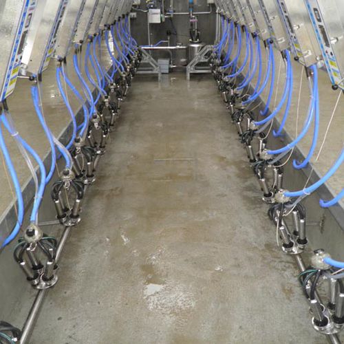 Cow milking parlour DairyPower Equipment O'Donovan Dairy Services Ltd