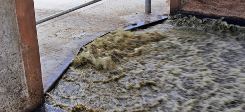 Washing system with valve - V757 - Daritech, Inc. - for milking parlours / automatic