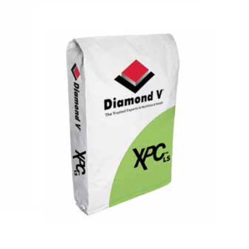Animal feed supplement - Original XPC™LS - Diamond V - cattle / mineral / protein