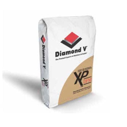 Enzyme feed additive - XP™ DFM - Diamond V - microorganism / cattle / dry