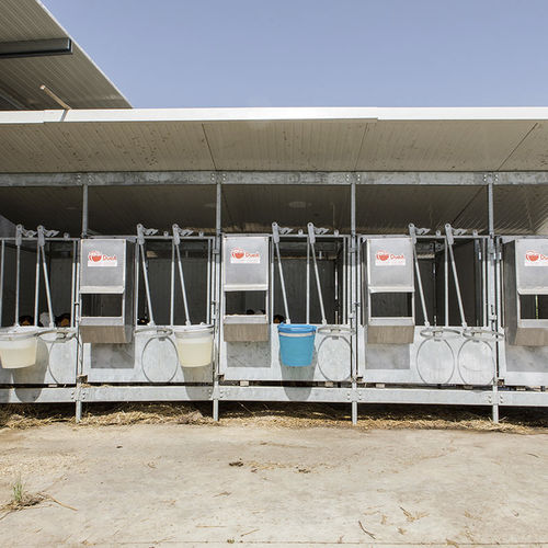 Livestock hutch - DUE A s.r.l. - calf / individual / stainless steel