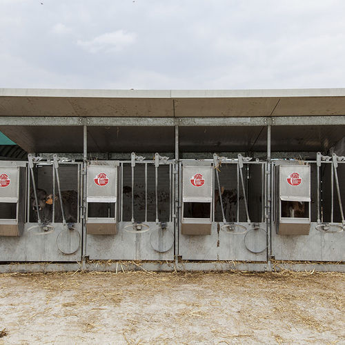 Livestock hutch - DUE A s.r.l. - calf / individual / steel