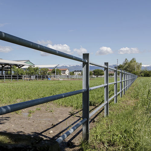 Livestock fence - DUE A s.r.l. - pasture / for domestic animals / metal