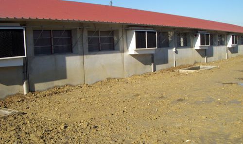 Wall-mounted air conditioning unit - Evoteck s.r.l. - pig barn