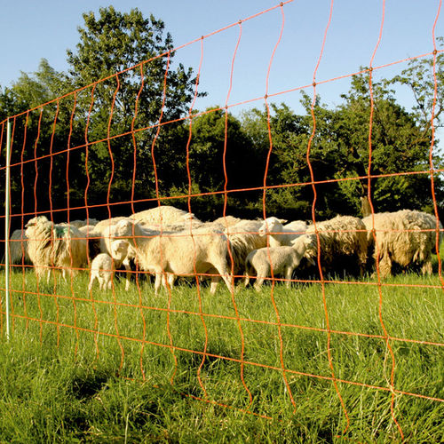 Sheep net - Extra 90/1  - Fritz Göbel GmbH & Co. KG - plastic