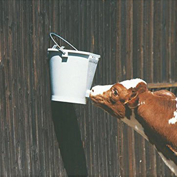 Calf nursing bucket - 70034 - Fritz Göbel GmbH & Co. KG - plastic