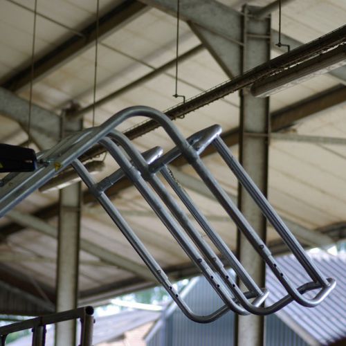Cow head gate - L&rsquo;port - Hanskamp AgroTech BV - automatic clamping