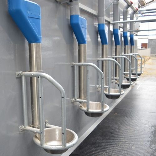 Cattle bowl - MultiFrame - Hanskamp AgroTech BV - steel / in milking parlor