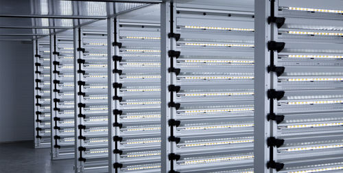 Poultry brooder - HatchTech B.V.