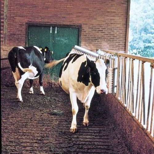 Livestock comfort brush VEEB0002 Holland Animal Care stationary