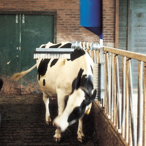 Livestock comfort brush VEEB0003 Holland Animal Care stationary