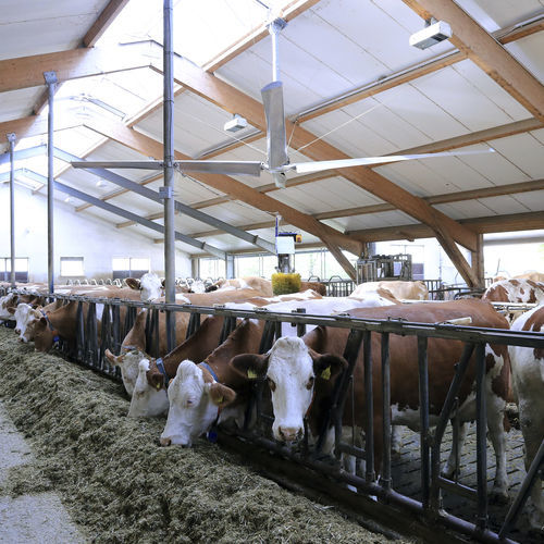 Ceiling fan - Lubratec® - HUESKER Synthetic GmbH - for livestock buildings / recirculation