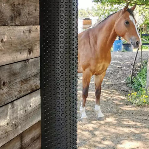 Horse animal scraper RELAX GRAT IDS Agri livestock / stationary