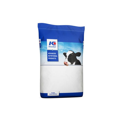 Animal Feed Supplement - Koudijs Animal Nutrition - Beef Cattle   Dry 