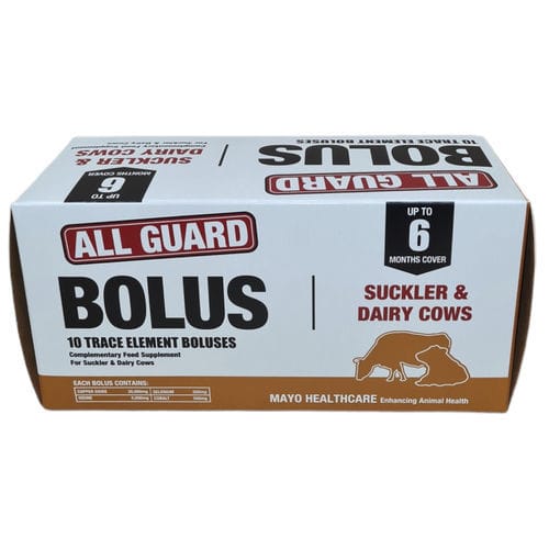 Nutrition bolus - All Guard - Mayo Healthcare - cattle / deficiency corrector / Intra-ruminal