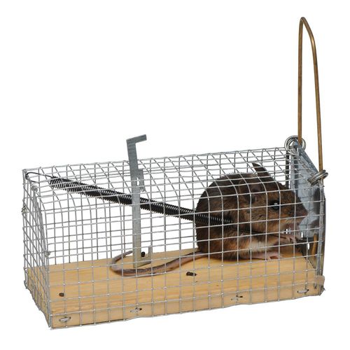 Rodent trap - MV-K1 - Olba B.V. - mechanical